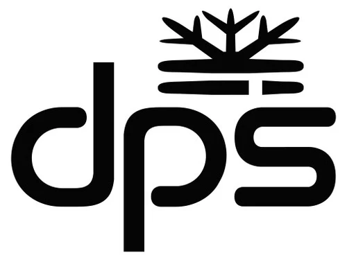 DPS Skis